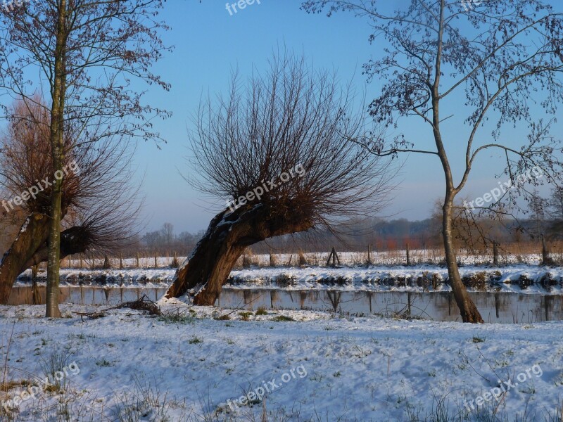 Willow Snow Water Winter Free Photos