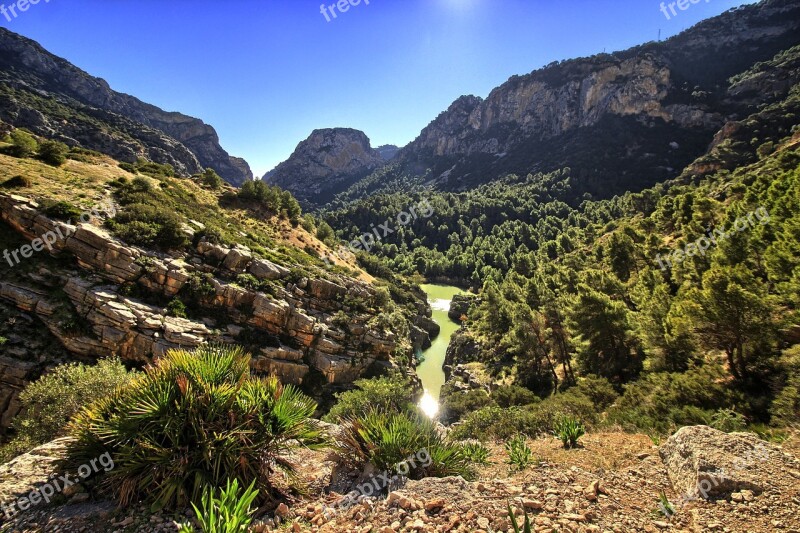 Valley Guadalhorce Malaga Pinewood Hiking