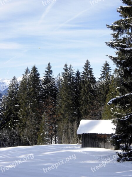 Winter Snow Forest Hut Nature