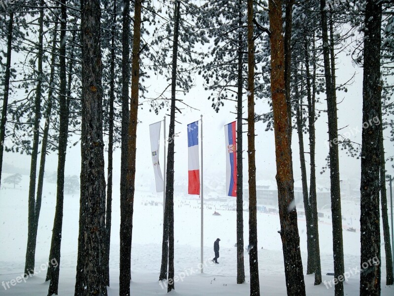 Zlatibor Mountain Trees Flags Snow