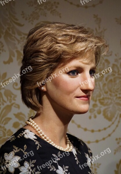 Lady Di Lady Diana Passed Away England