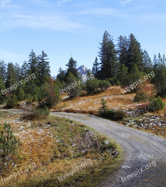 Trail Hiking Forest Mountains Fir Tree