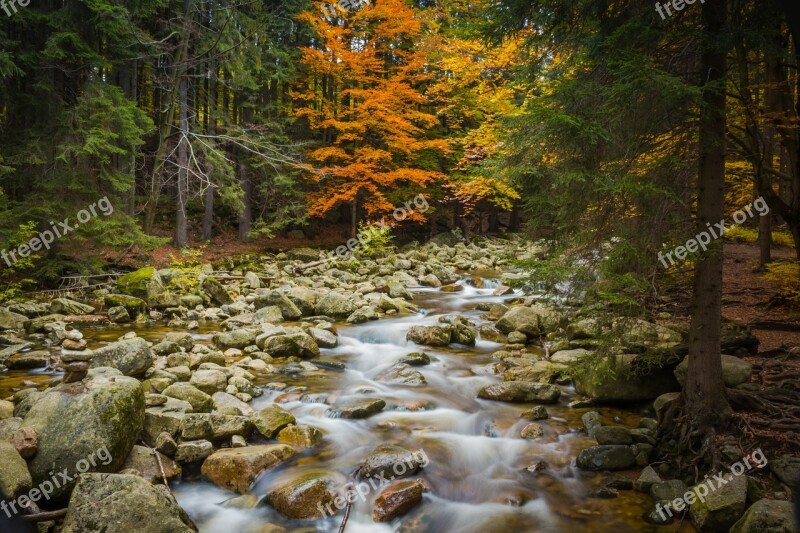 Foliage Autumn Nature Stones River