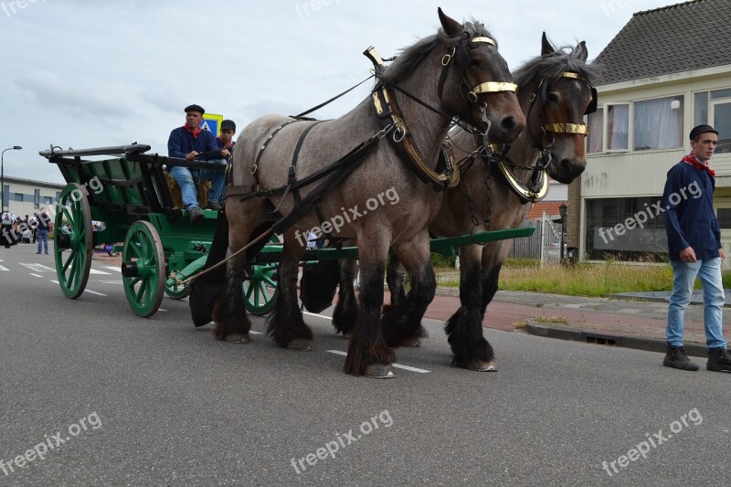 Tholen Zeeland Horses Historical Free Photos