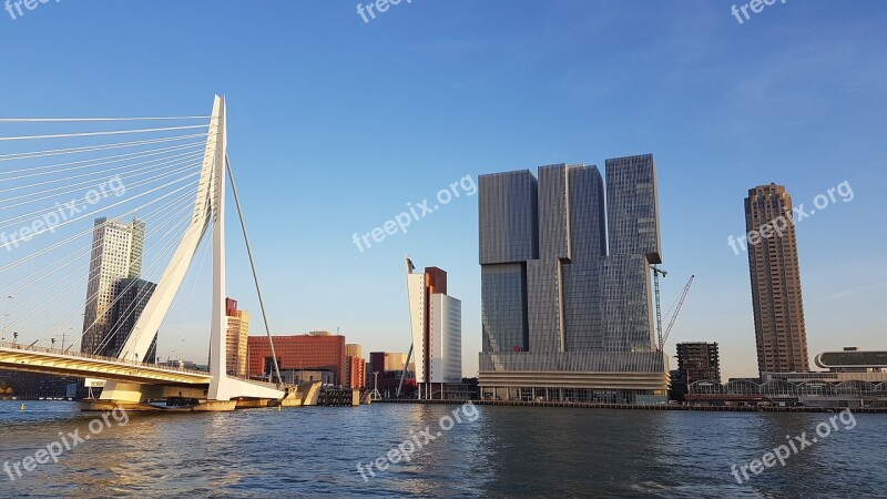 Rotterdam Holland Skyline Bridge Free Photos