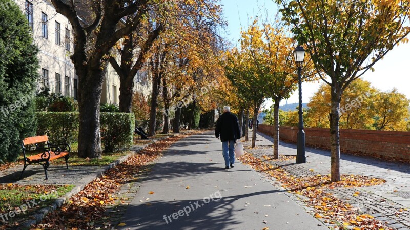 Budapest Buda Castle Promo Sunshine Free Photos