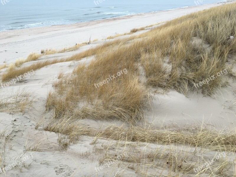 Beach Sea Sand Ocean Outdoors