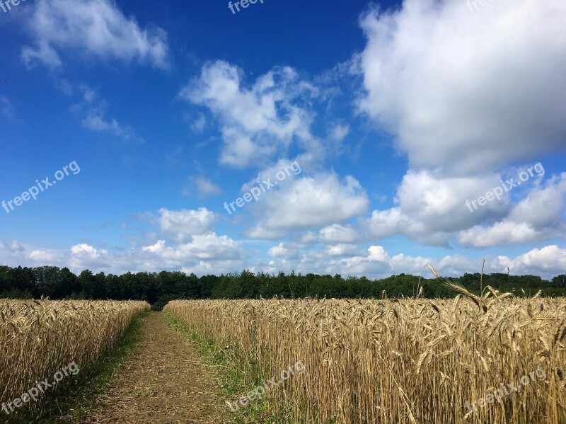 Field Ray Sky Nature Landscape