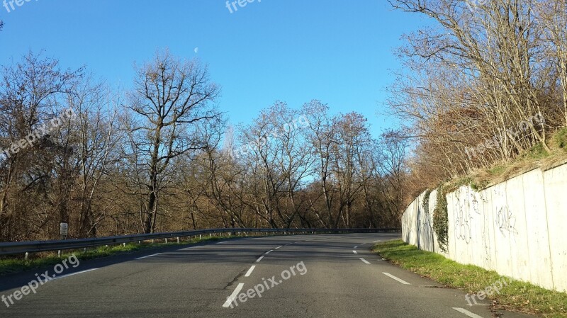 Alone Country Road Road Tree Landscape