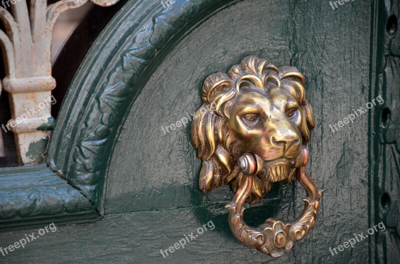 Doorknocker Lion Input Door Old