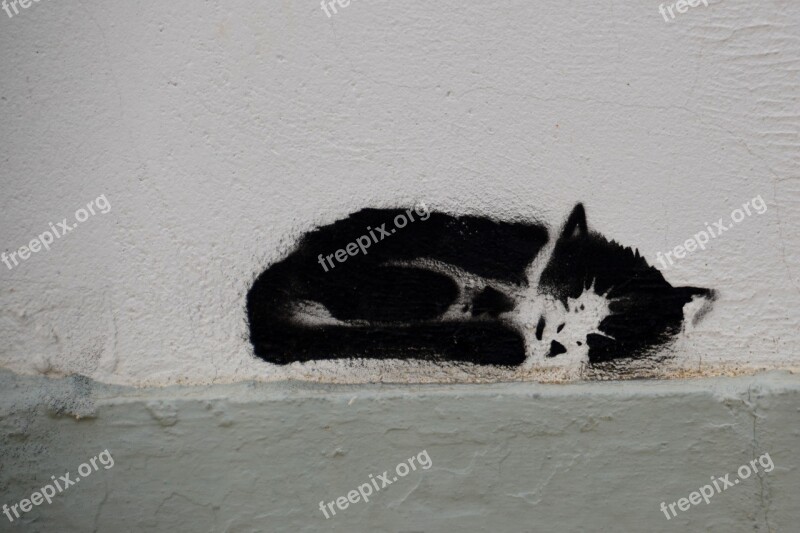 Cat Grafiti Art Sprayer Wall