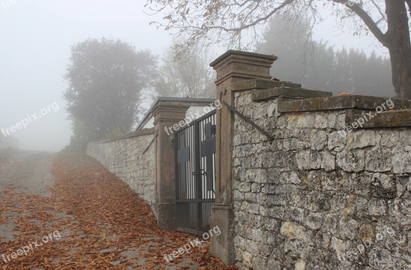 Fall Foliage Cemetery Fog Autumn Mood Free Photos