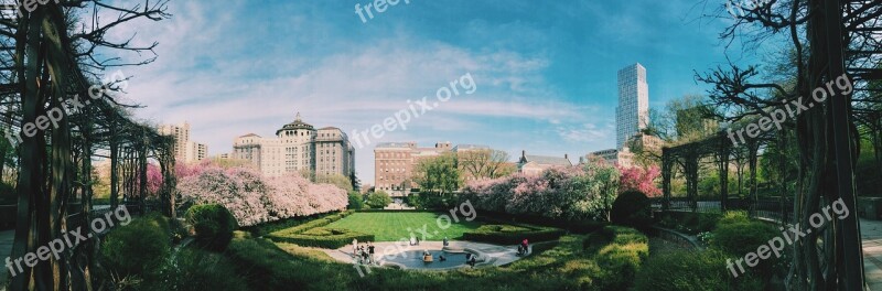 Buildings Panoramic Park Plants Sky