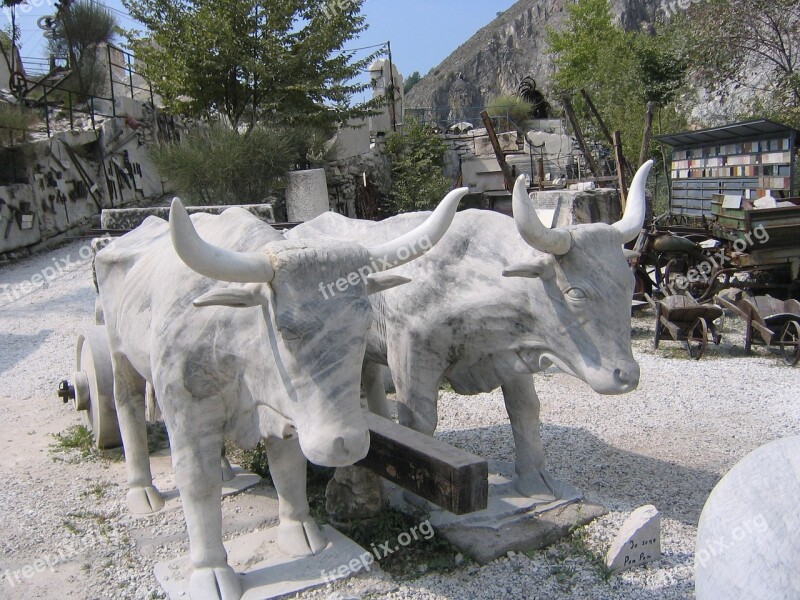 Carrara Marble Quarry Mining Italian