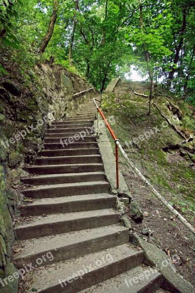 Stairs Forest Summer Green Grey