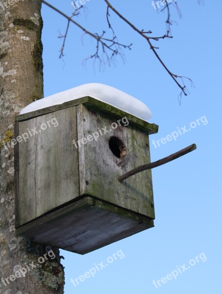 Starling Nest Box Bird Winter