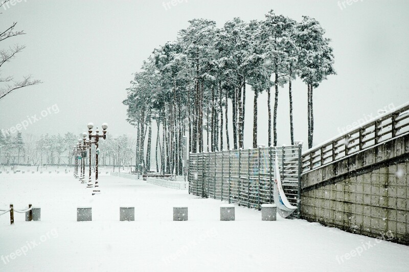 Sangam World Cup Park Snow Sangam World Cup Park Free Photos