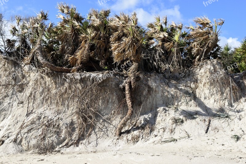 Beach Erosion Hurricane Matthew Damage Landscape Outdoors