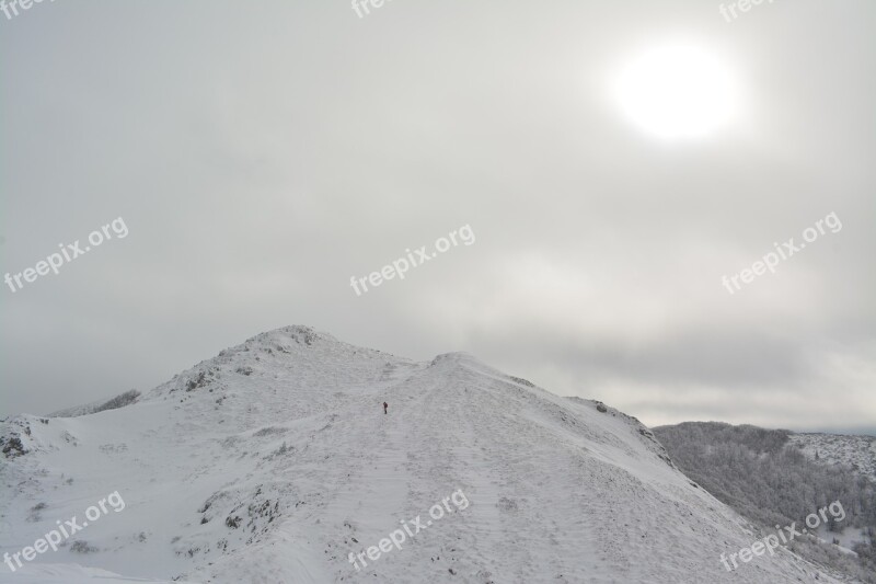 Snowy Hill Winter Cold Snowfall