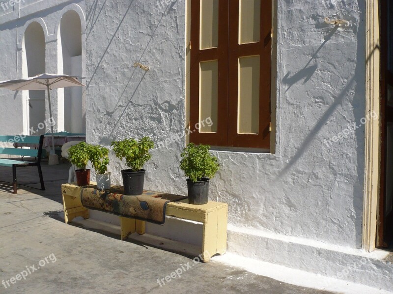 Pot Plants Flowers Wall White