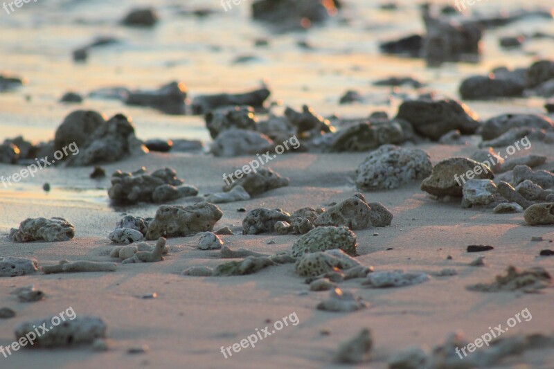 Sand Rocks Pebbles Beach Sea