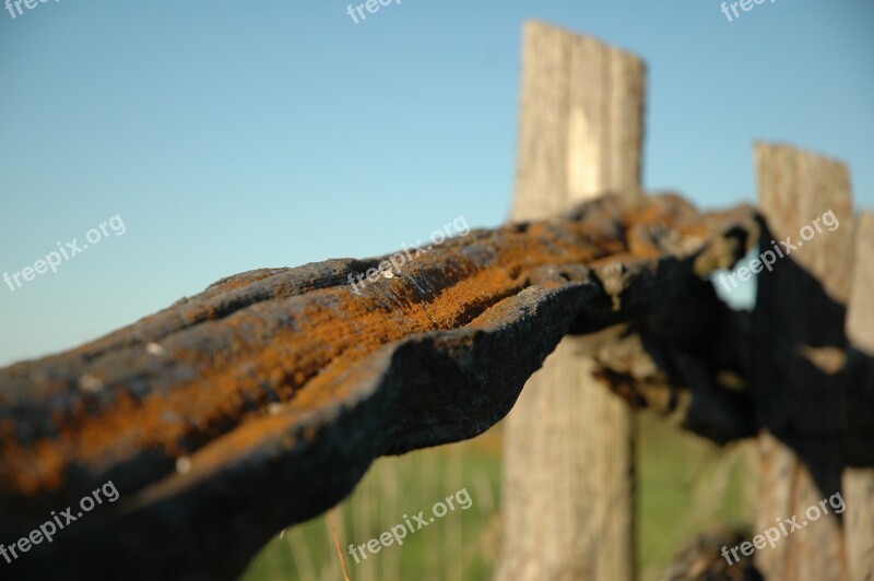 Fence Rust Iron Metal Old