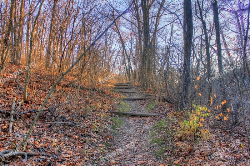 Trail Woods Forest Path Babler State Park