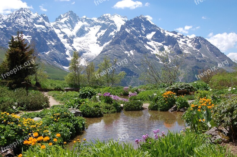 Hautes Alpes Cervical Lautaret Garden Alps Botanical Garden