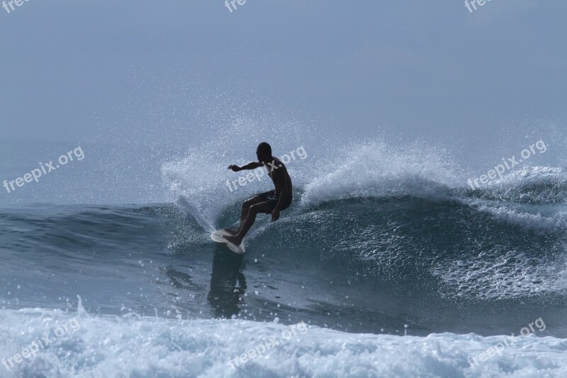 Surfing Sea Wave Sports Free Photos