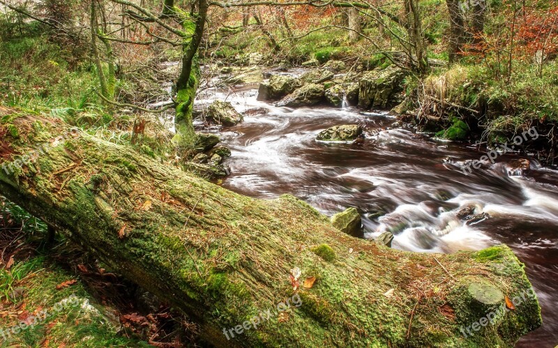 River Bach Water Flow Idyllic