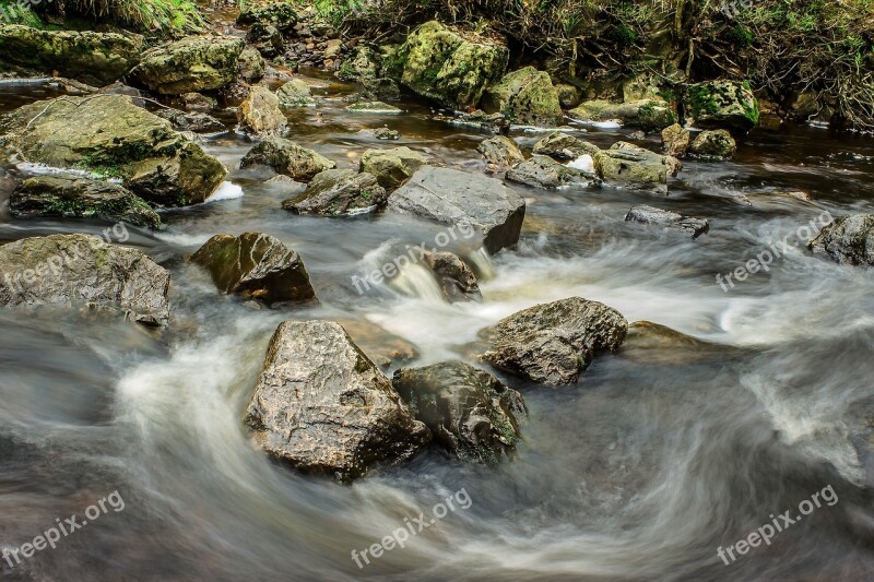 River Bach Water Flow Idyllic