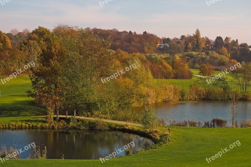 Autumn Nature Trees Landscape Forest