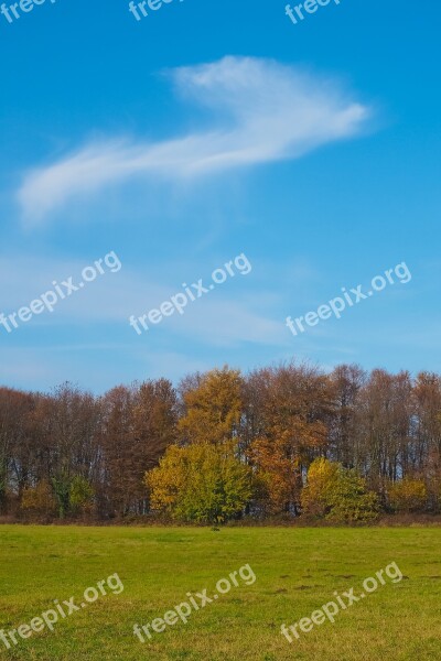 Autumn Nature Trees Landscape Forest