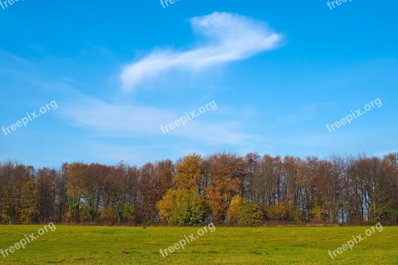 Autumn Nature Trees Landscape Forest