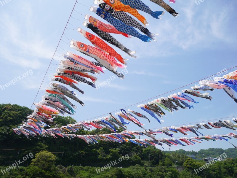 Carp Streamer May Boys' Festival Free Photos