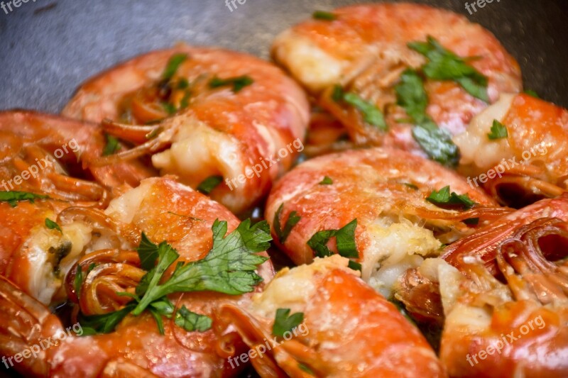 Kitchen Shrimp Prawns Fish Appetizer