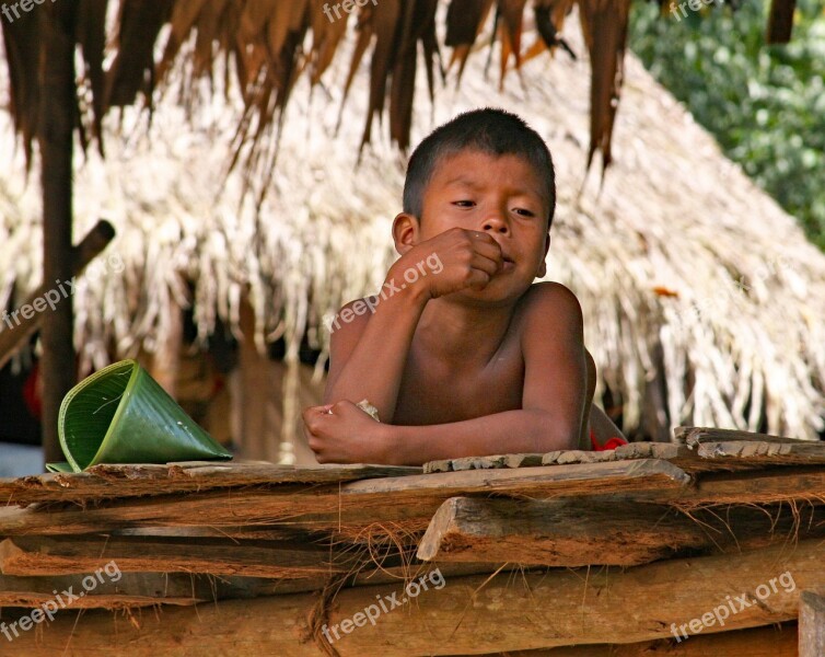 Child Panama Panama Canal Boy Embara Indian