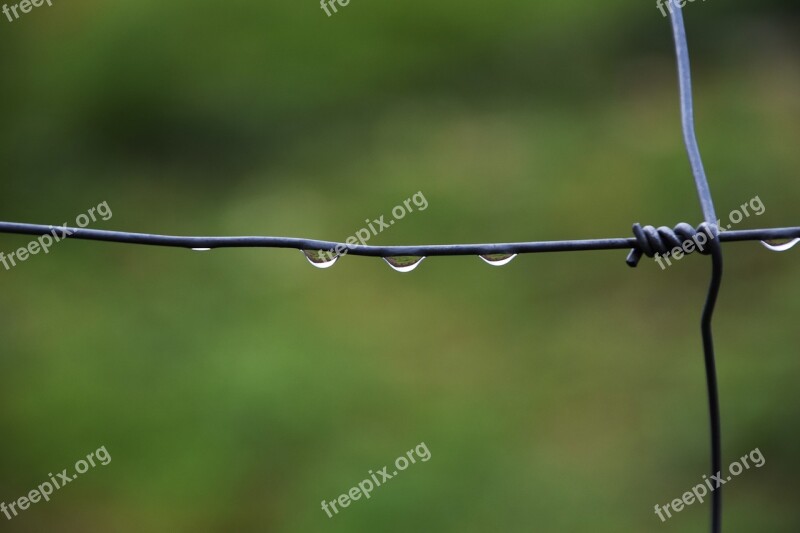 Drip Wet Water Drop Of Water Fence