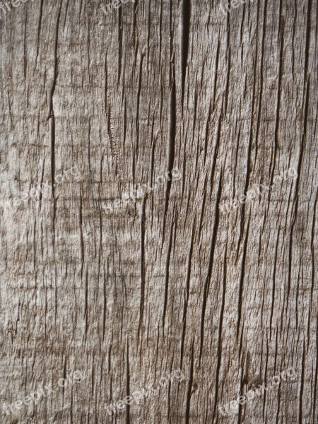 Wood Texture Background Pattern Old