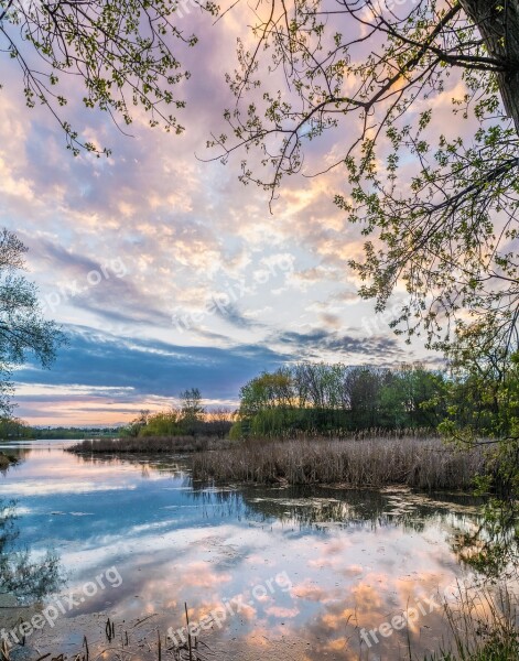 Minnesota Lake Trees Water Nature