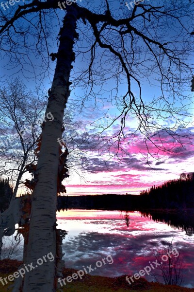 Sunset Landscape Twilight Nature Birch