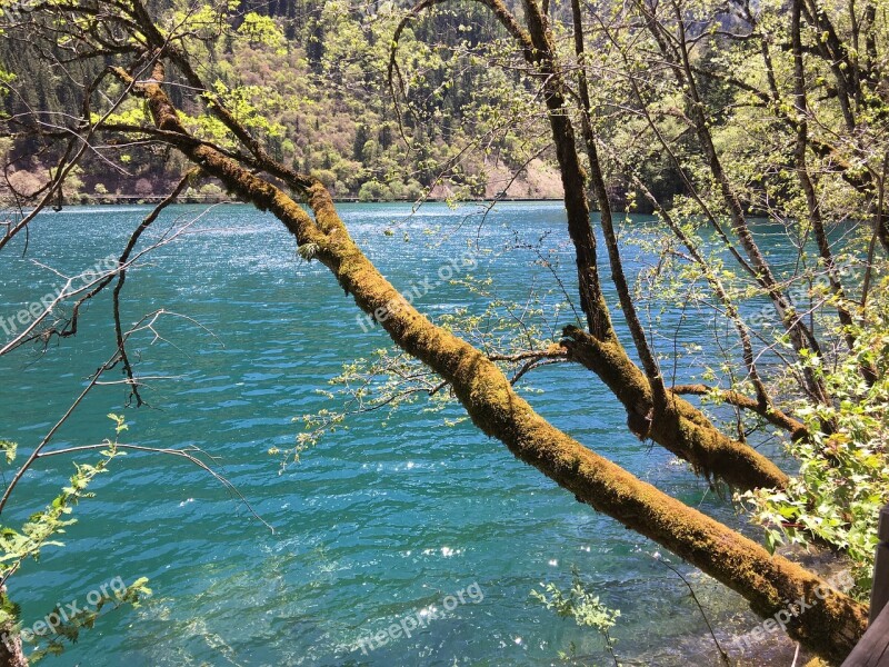 Jiuzhaigou Sub-sea Summer Free Photos