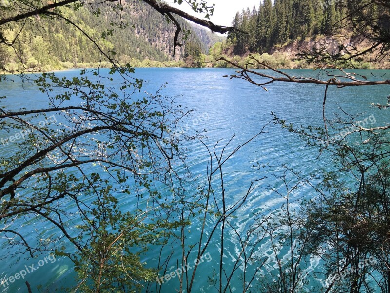 Jiuzhaigou Sub-sea Summer Free Photos