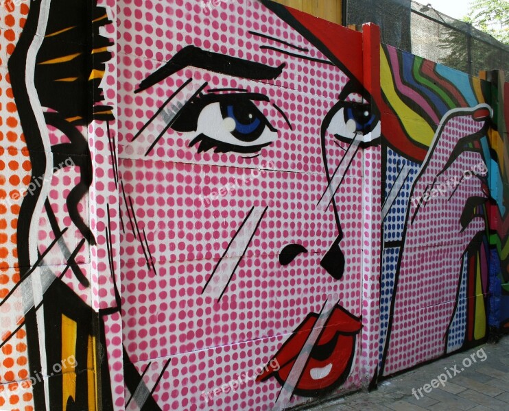 Graffiti Urban Art Woman Face Pin Up Painting