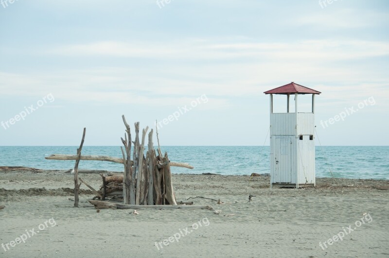 Sea Beach Wood Trunks Regulatory Storm Sand