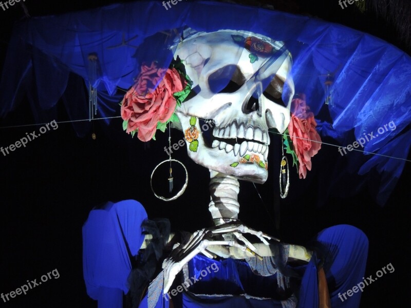 Catrina Mexico Day Of The Dead Halloween Celebration