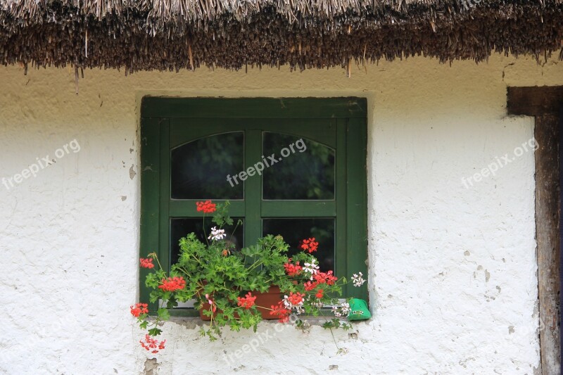 Window Thatched Roof Flower Tanya Farmhouse