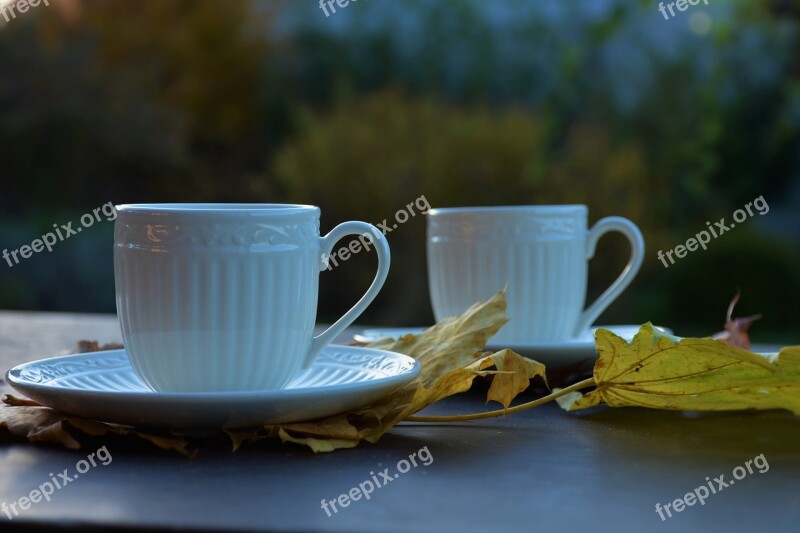 Autumn Mugs Leaves Colors Dining