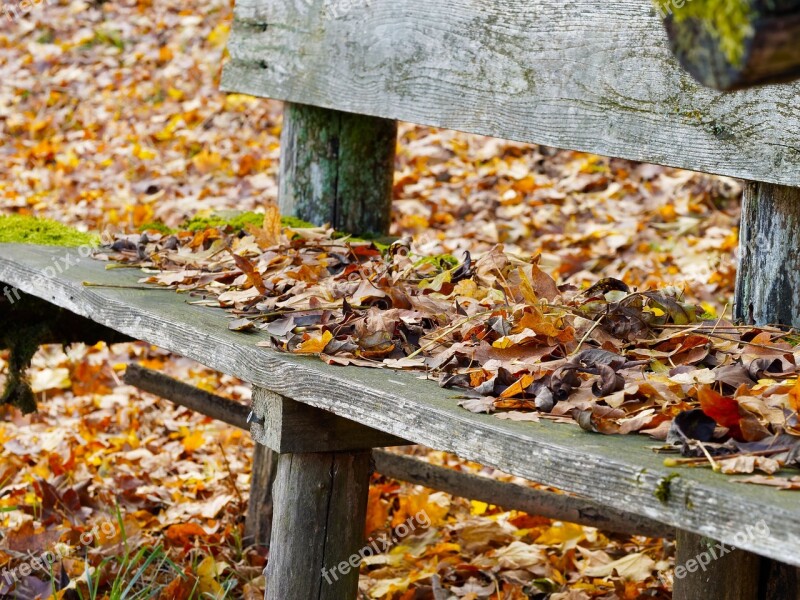 Leaves Old Bench Fall Fall Colors Foliage