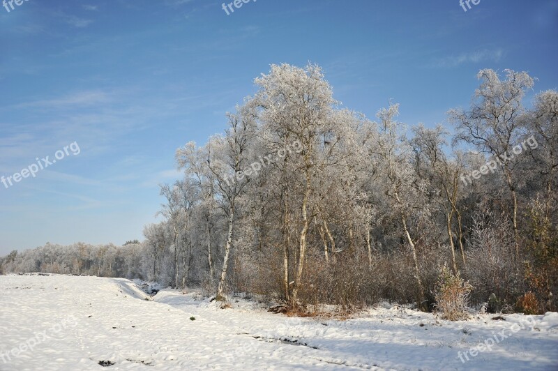 Landscape Peat Moor Snow Hoarfrost